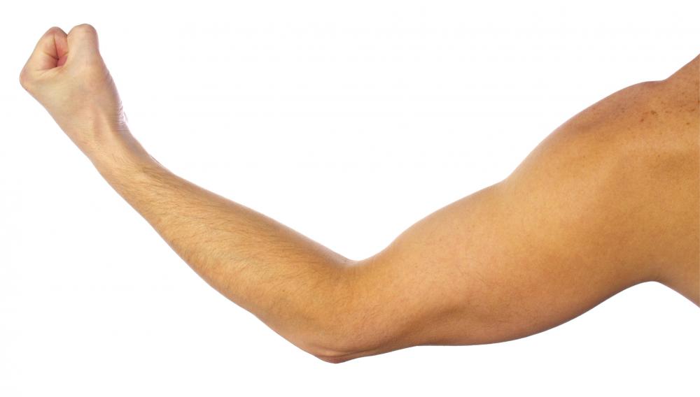 What is an Elbow Flexion? (with pictures)