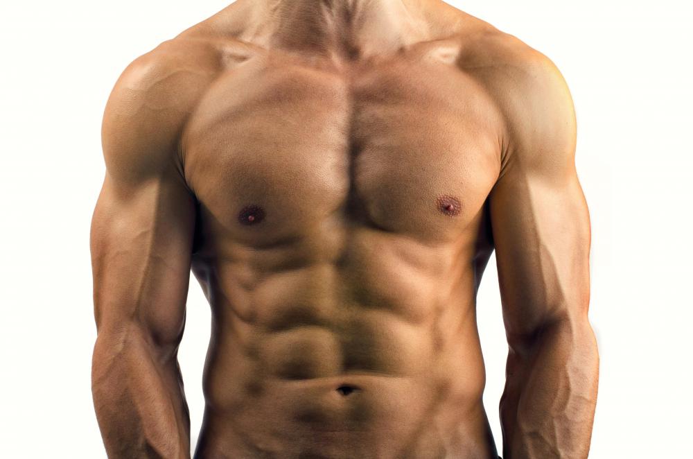 What Is A Torso Track with Pictures what-is-a-torso-track-with-pictures
