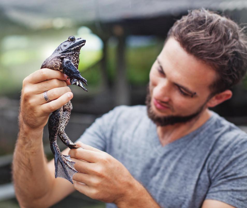 What are the Different Types of Careers in Zoology?