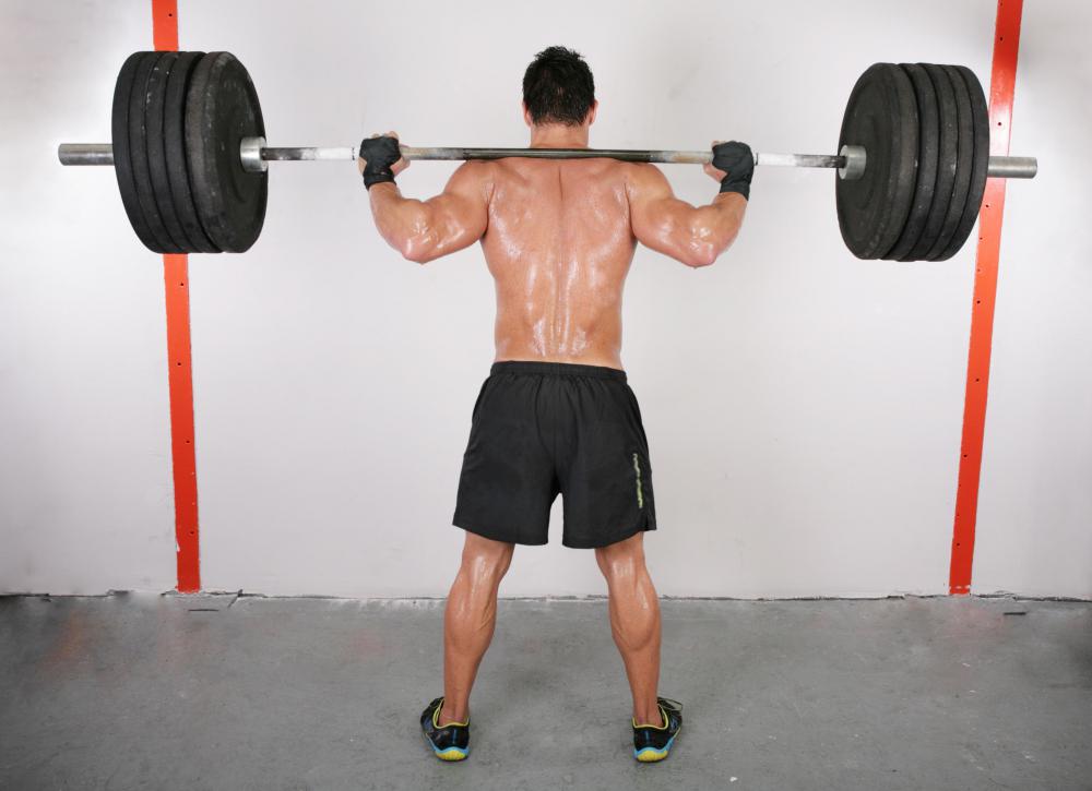 Different Types Of Weight Lifting Equipment