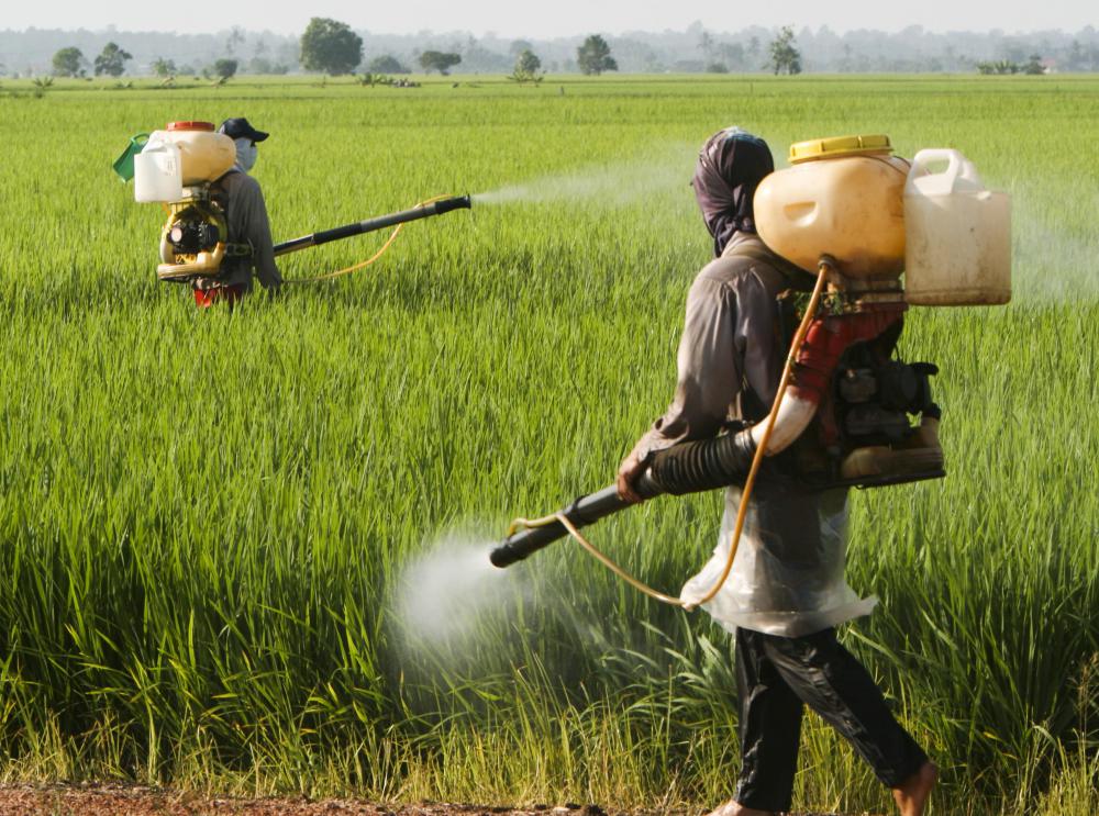 chemical how harmful to fertilizers are soil (with pictures) What Magnification? is Biological