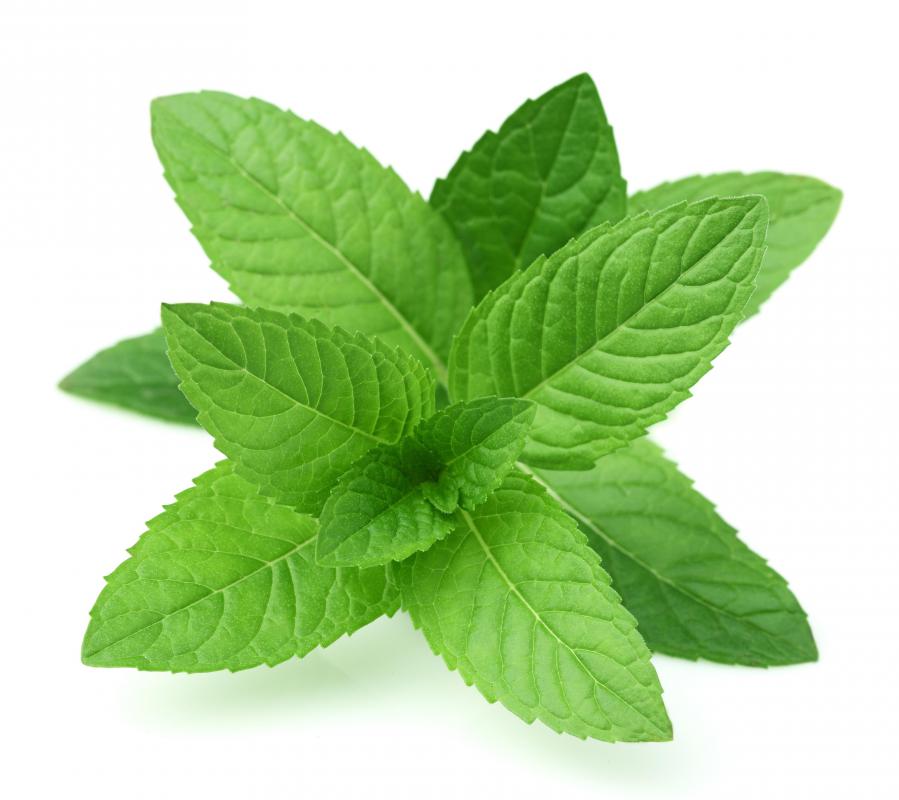 mint leaf