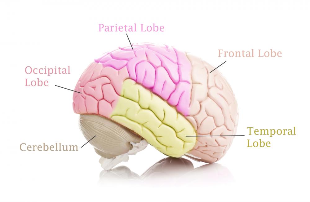 retrograde amnesia causes