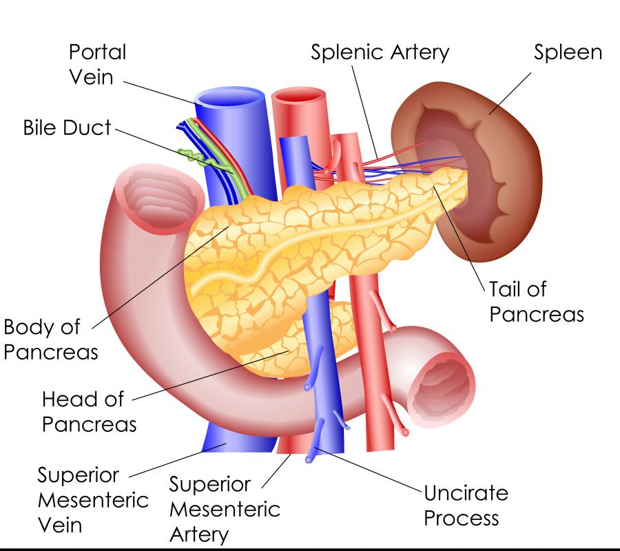 What Is Secondary Liver Cancer? (with pictures)