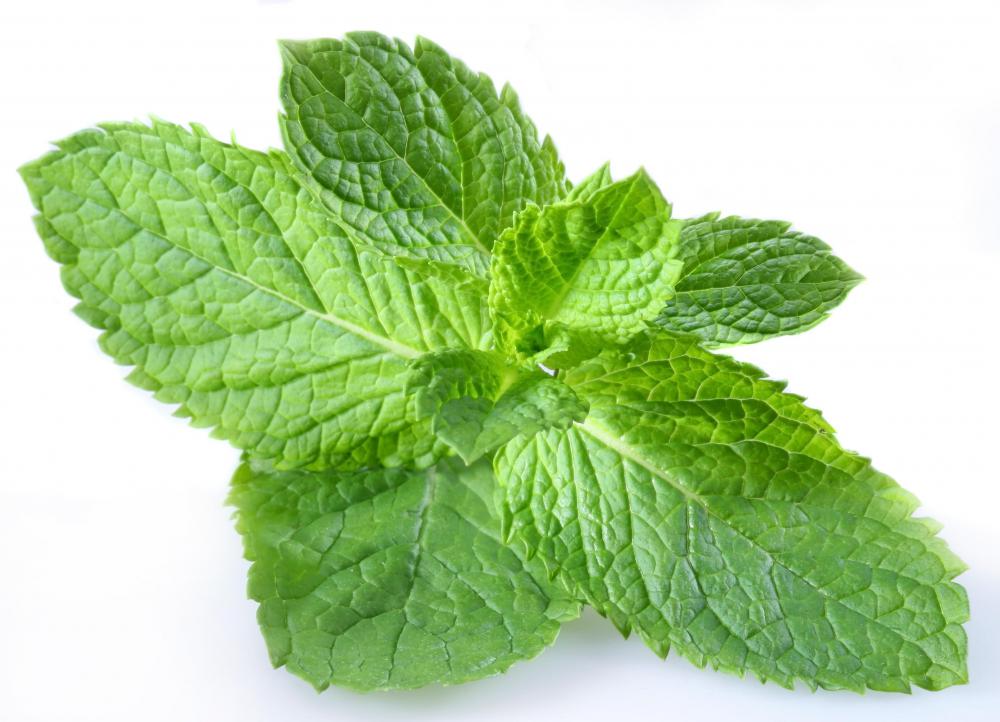 peppermint in spanish