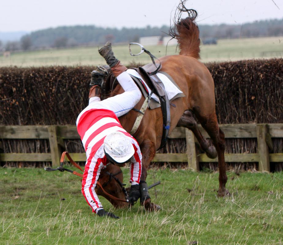 how-do-they-determine-horse-racing-odds-with-pictures