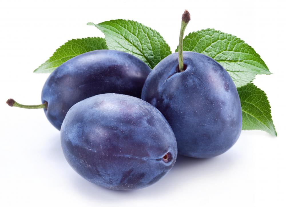 What is the Difference Between Prunes and Dried Plums?