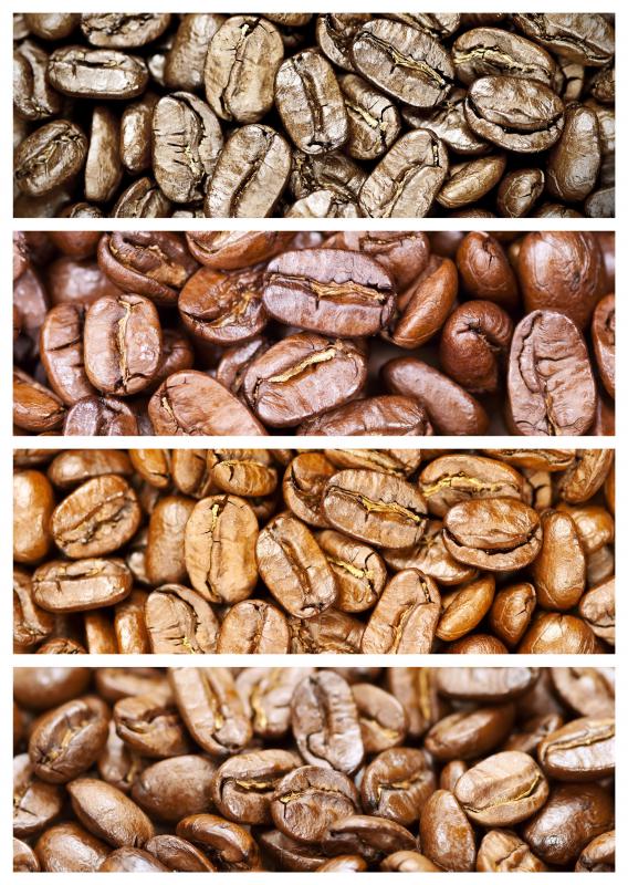 gourmet coffee beans