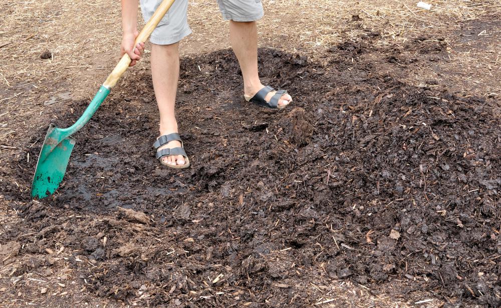 remove fungus mulch Fungus? Rid How (with Mulch of do I pictures) get