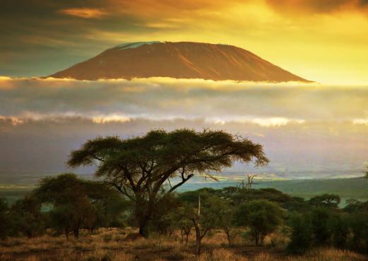 The Masai people live in parts of Kenya and Tanzania.