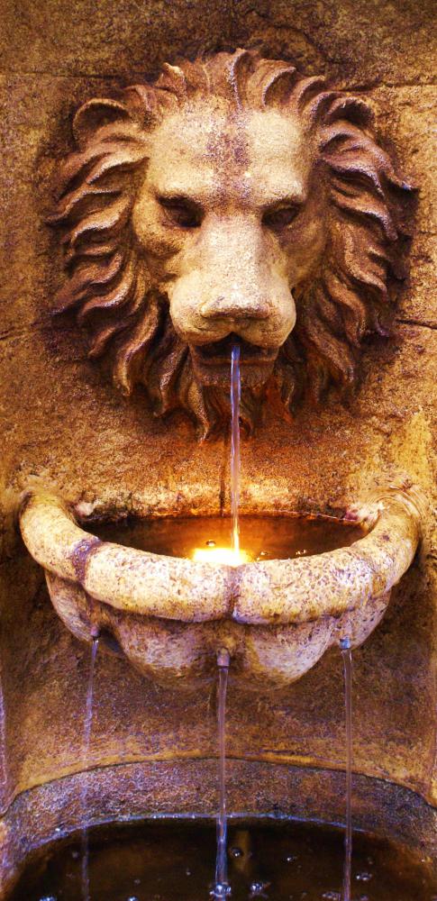 A fountain with a lion's face in a garden.