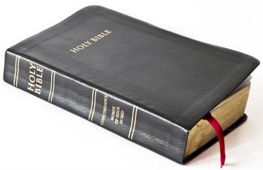 Genesis, a book of the Bible, contains a creation theory, telling the story of God creating the world and the first humans in seven days.