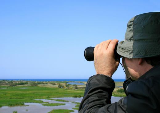 Image-stabilized binoculars keep images from shaking through the eyepieces.