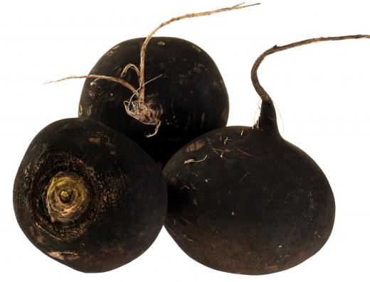 Black radishes can be eaten or used in homeopathic remedies.