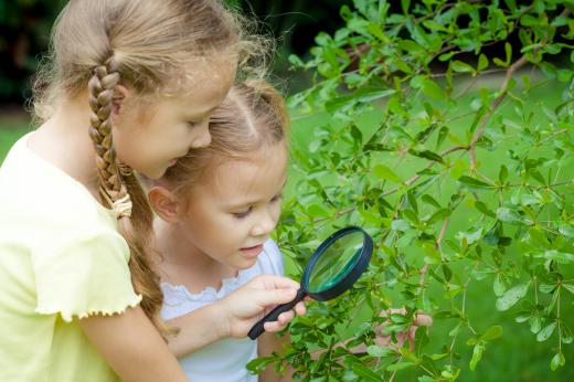 Some laboratory schools feature outdoor educational experiences.