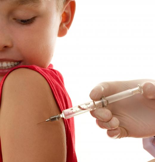 Routine travel immunizations may include typhoid and hepatitis A vaccines.