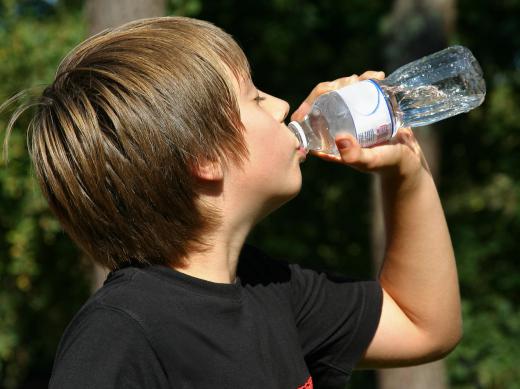 Bottled water can act as a good substitute for hydration systems.