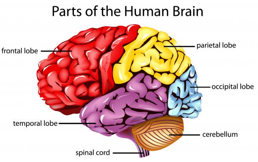 Frontal lobe injuries may include lesions caused by disease.