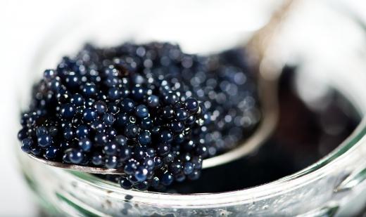 Eggs from white sturgeon are used to produce some varieties of caviar.