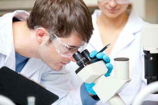 A medical laboratory assistant uses a variety of microscopes.