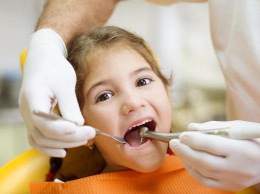 Primary incisors are replaced by permanent incisors during childhood.