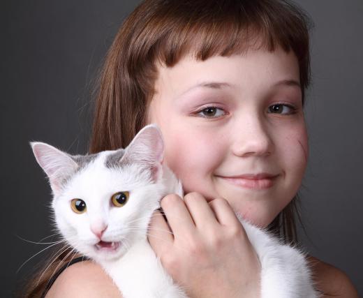 Children may enjoy snuggling with a pet at bed time.