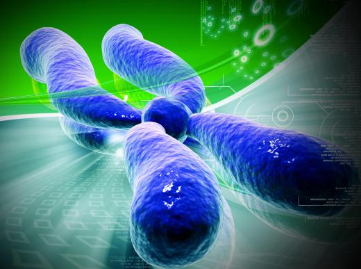 Androgen insensitivity syndrome is caused by a defect of the X chromosome.