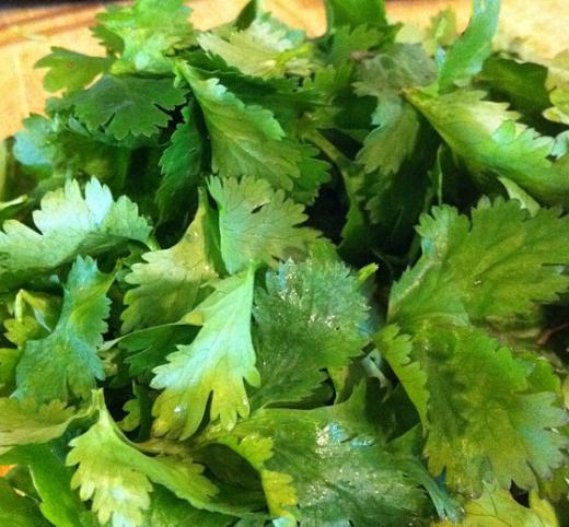 Black bean soup is often flavored with cilantro.