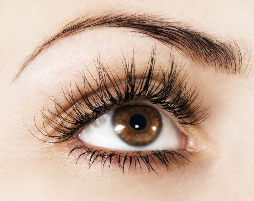 Eyebrow stimulators are used to regrow brow hair after overplucking.