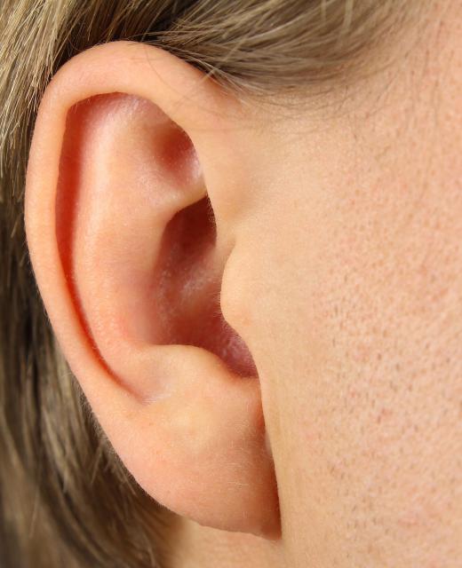 The human ear can typically locate the source of a sound in the environment.