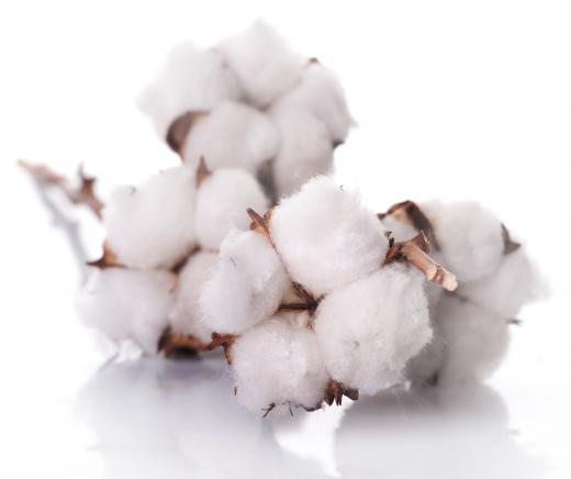 Cotton is often considered to be an eco-friendly material.