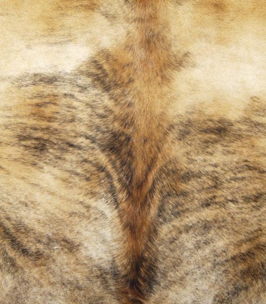 Animal hide rugs generally do not last very long.