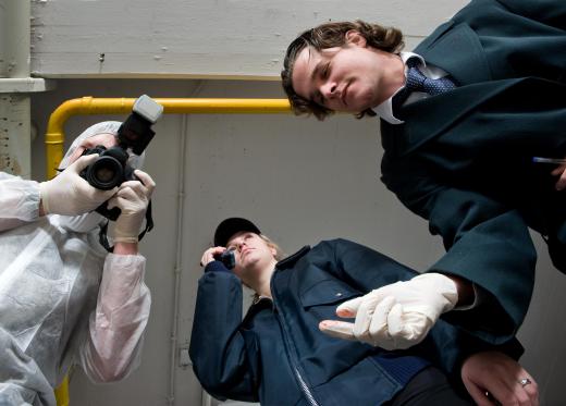 Forensic technicians collect evidence and take photographs at a crime scene.