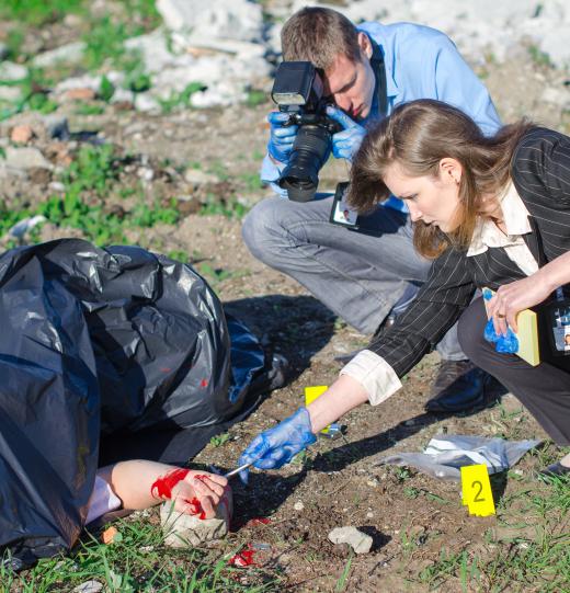 Field investigators often work directly at the crime scene.