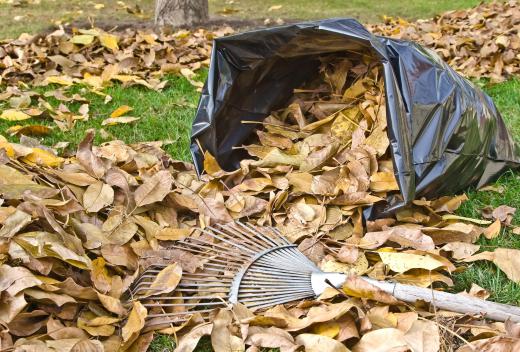 A tarp may be used to carry raked leaves.