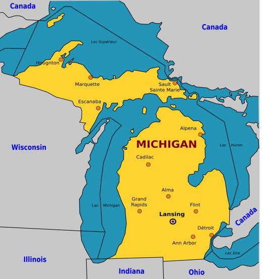 Ann Arbor is located on the eastern side of Michigan, about 45 miles away from Detroit.