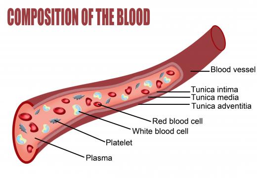 A diagram of the composition of the blood.