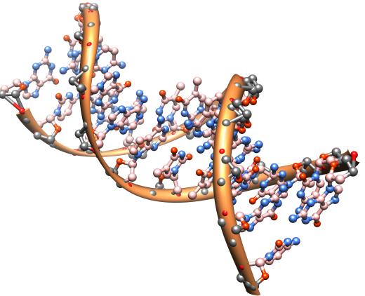 DNA is commonly manipulated in molecular medicine.