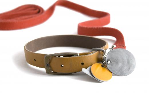 Leashes allow for a safe and enjoyable experience for both pet and owner.