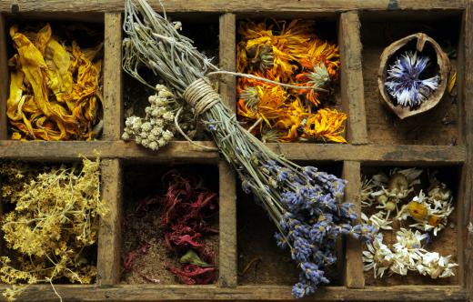 Dried flowers are often used in herbal infusions.