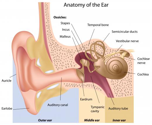 Conductive deafness is caused by problems in the middle ear.