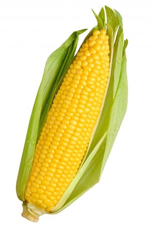 Corn contains omega oils.