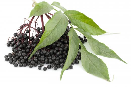 Elderberries possess certain medicinal properties.