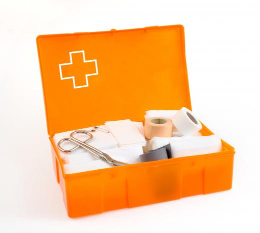 A basic first aid kit should contain gauze, scissors, bandages, and alcohol wipes.