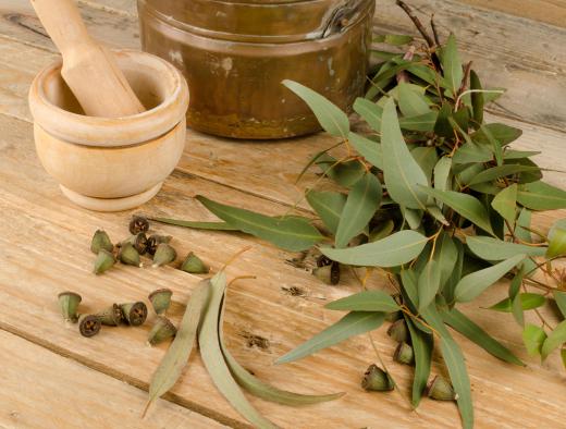 Eucalyptus can be used to help relieve a stuffy nose.