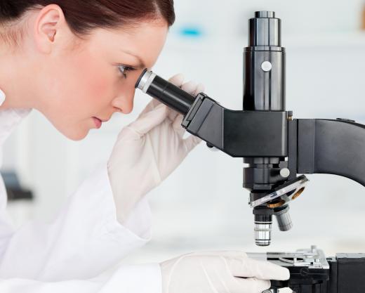 Medical microbiology involves applying knowledge gained by studying microorganisms to medicine.