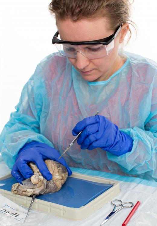 Dissection is a part of medical training designed to give students a hands-on view of the body.