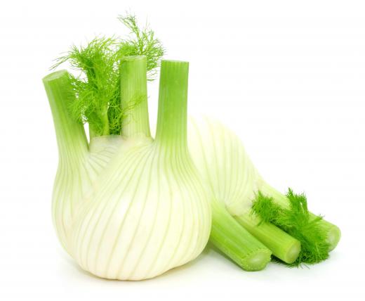 The bulb of fennel is used in fennel soup.