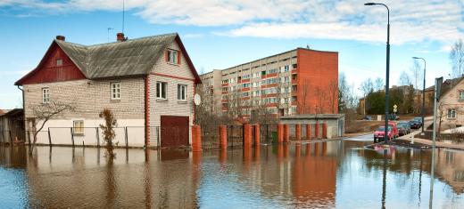 Home and business owners may be required to buy flood insurance if they are in areas that have a high flood risk.