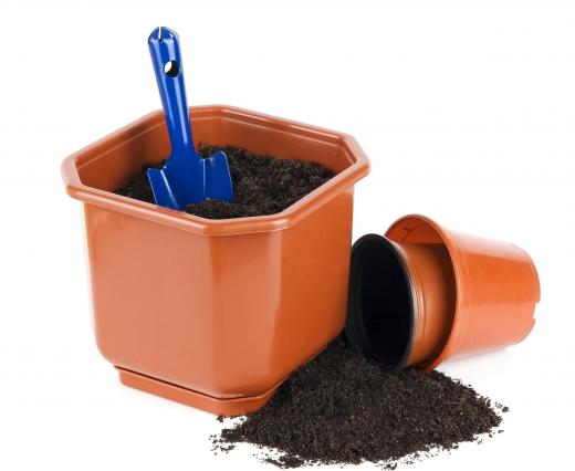 Bone meal fertilizer is sometimes mixed with potting soil.